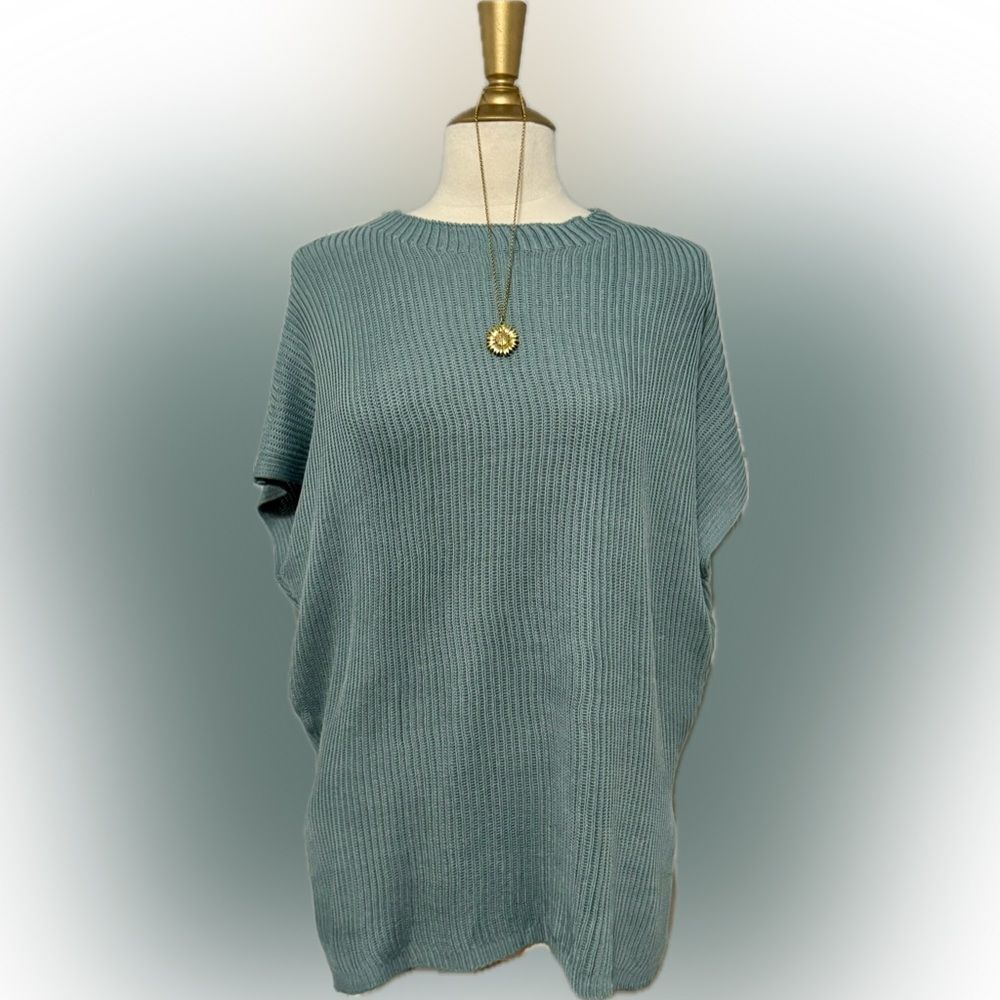 New! Never worn! Crewneck Short Sleeve Hi-lo Tunic!